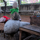 Image for article titled The Most Phallic Places On The Planet
